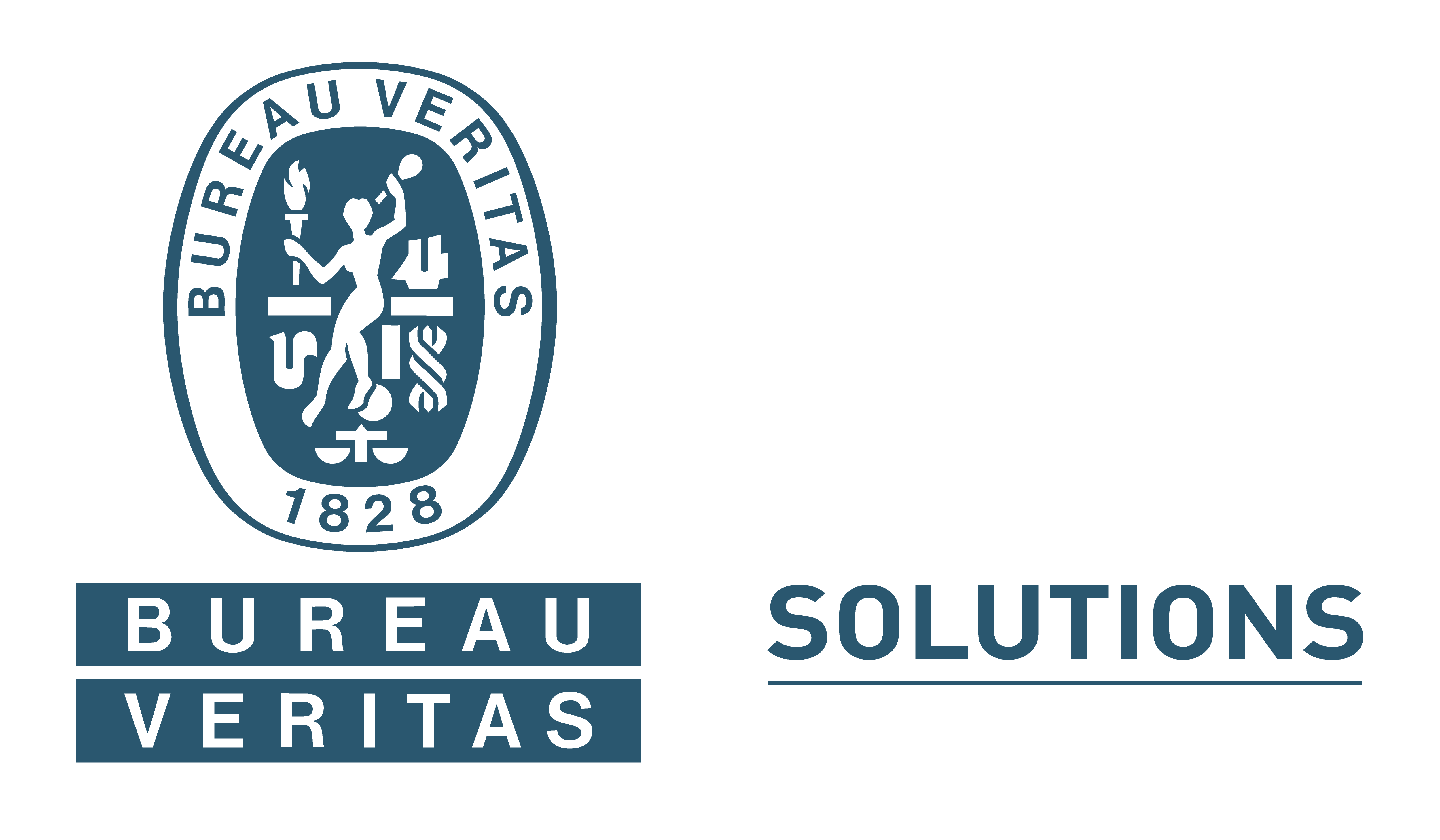 BUREAU VERITAS SOLUTIONS